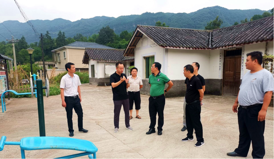 合江县委常委组织部部长陈棋楠率队到车辋镇调研