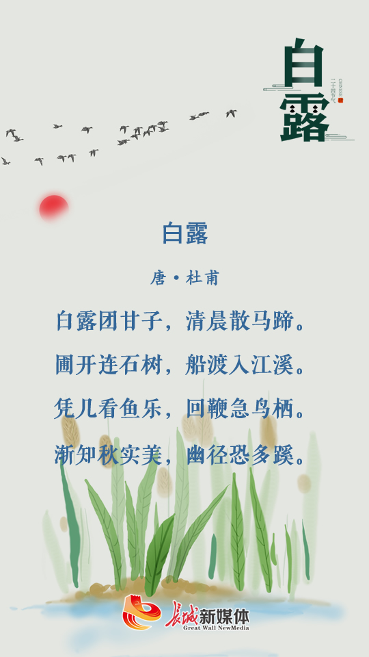 白露61诗节丨露从今夜白月是故乡明今日宜思念