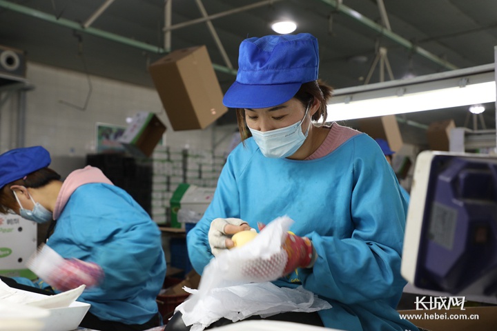 河北高校2020年预算_河北大学管理学院2020年人才引进计划