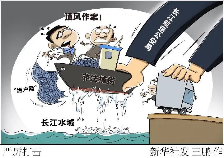 顶风作案抓