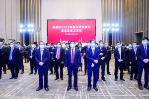 打好金融“组合拳” 服务湾区“大文章”