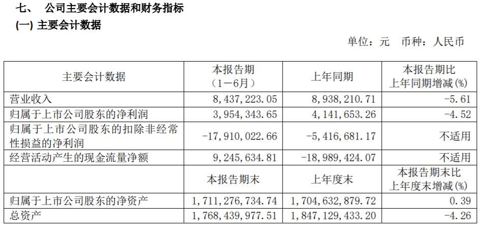 图源：ST游久2020年中报