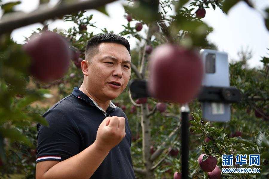 走向我们的小康生活在那碧绿的阶梯上梯田之乡甘肃庄浪县的三级跳