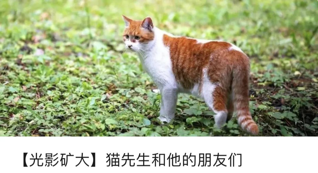 2021年第一天感谢451万个你
