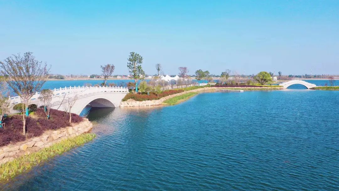 绿树,碧水相互映衬的秀洲天鹅湖未来科学城,嘉兴市委宣传部供图