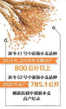 自主创新 优质高产 助农增收 科技兴农种子先行 手机新浪网 自主创新 优质高产 助农增收 科技兴农种子先行 手机新浪网