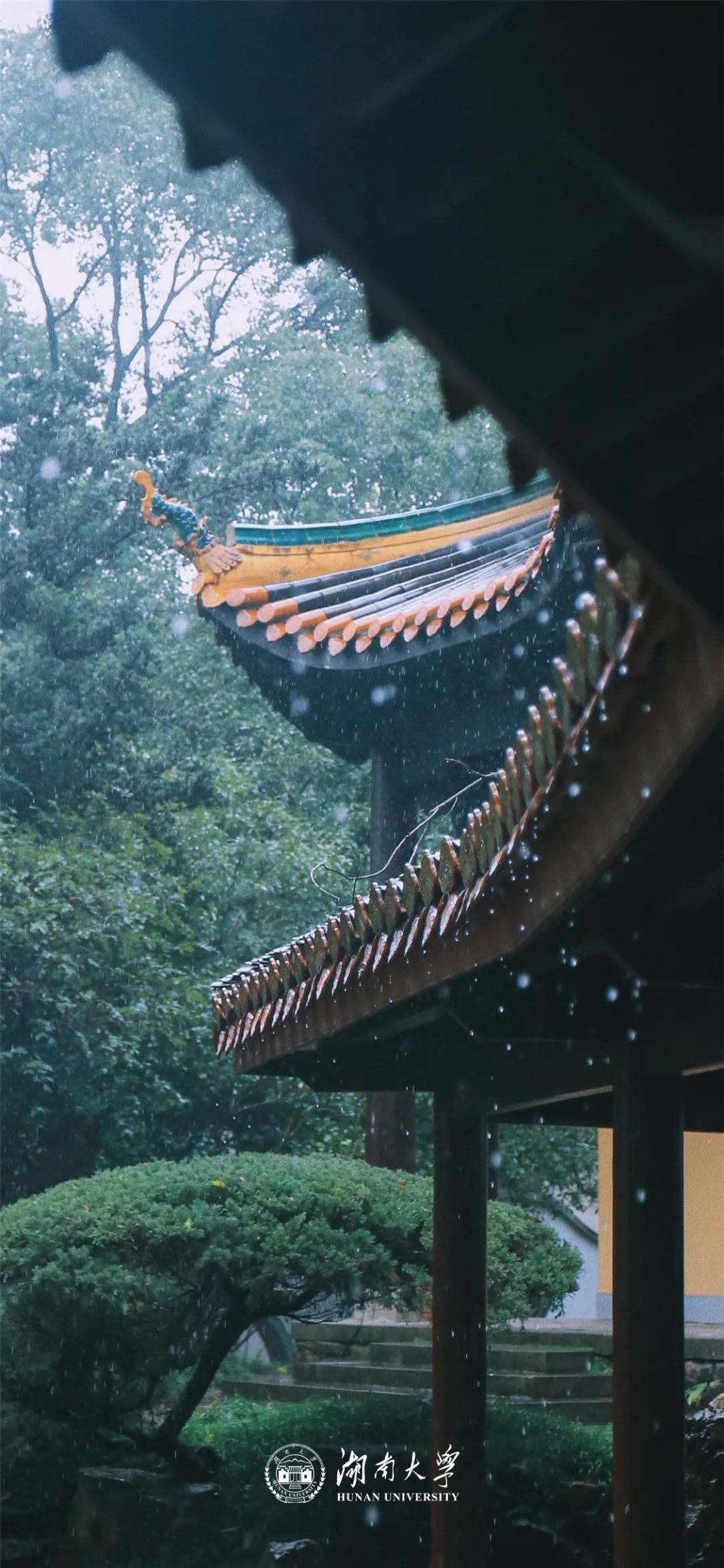 把湖大四季藏在手机壁纸里