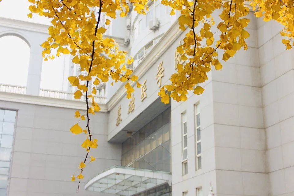 顺颂冬祺邀您共赏四时华中大