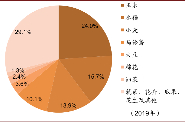 图表: 2019年中国种业品类格局三大主粮种子为主导,占比稳定:从制种