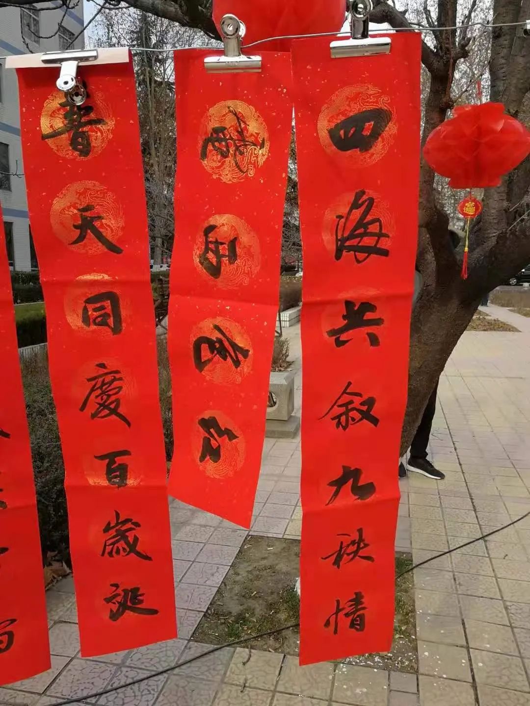 有趣又有爱|工科生特色手写春联长啥样?西电留校过年仪式感满满!