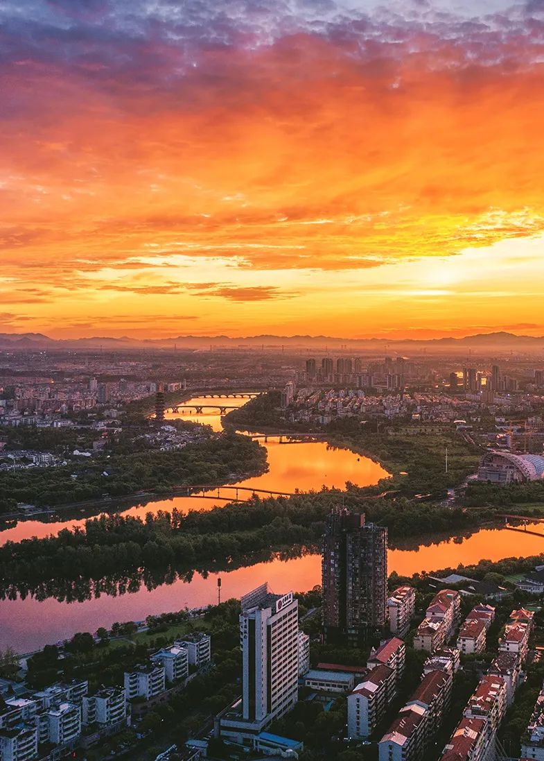 浙江c位为什么是金华