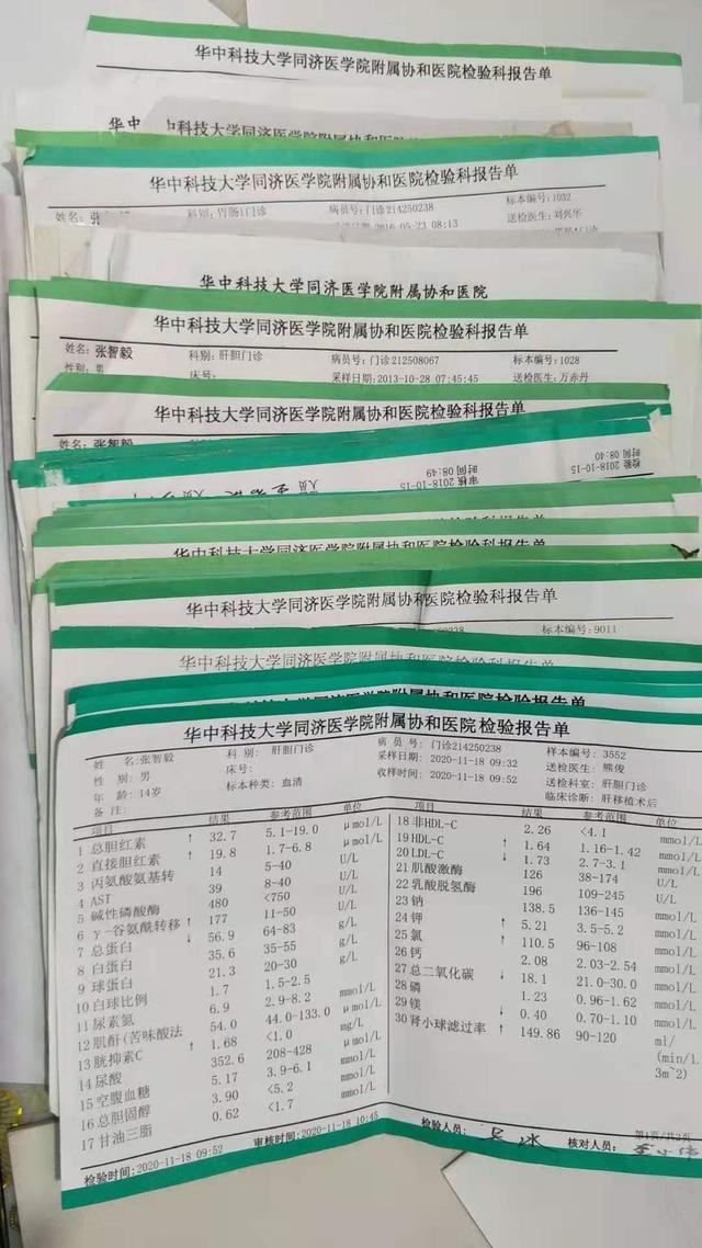 智毅的化验单.受访者供图