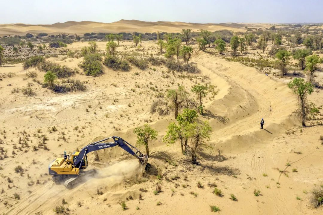 植树造林如何改变中国