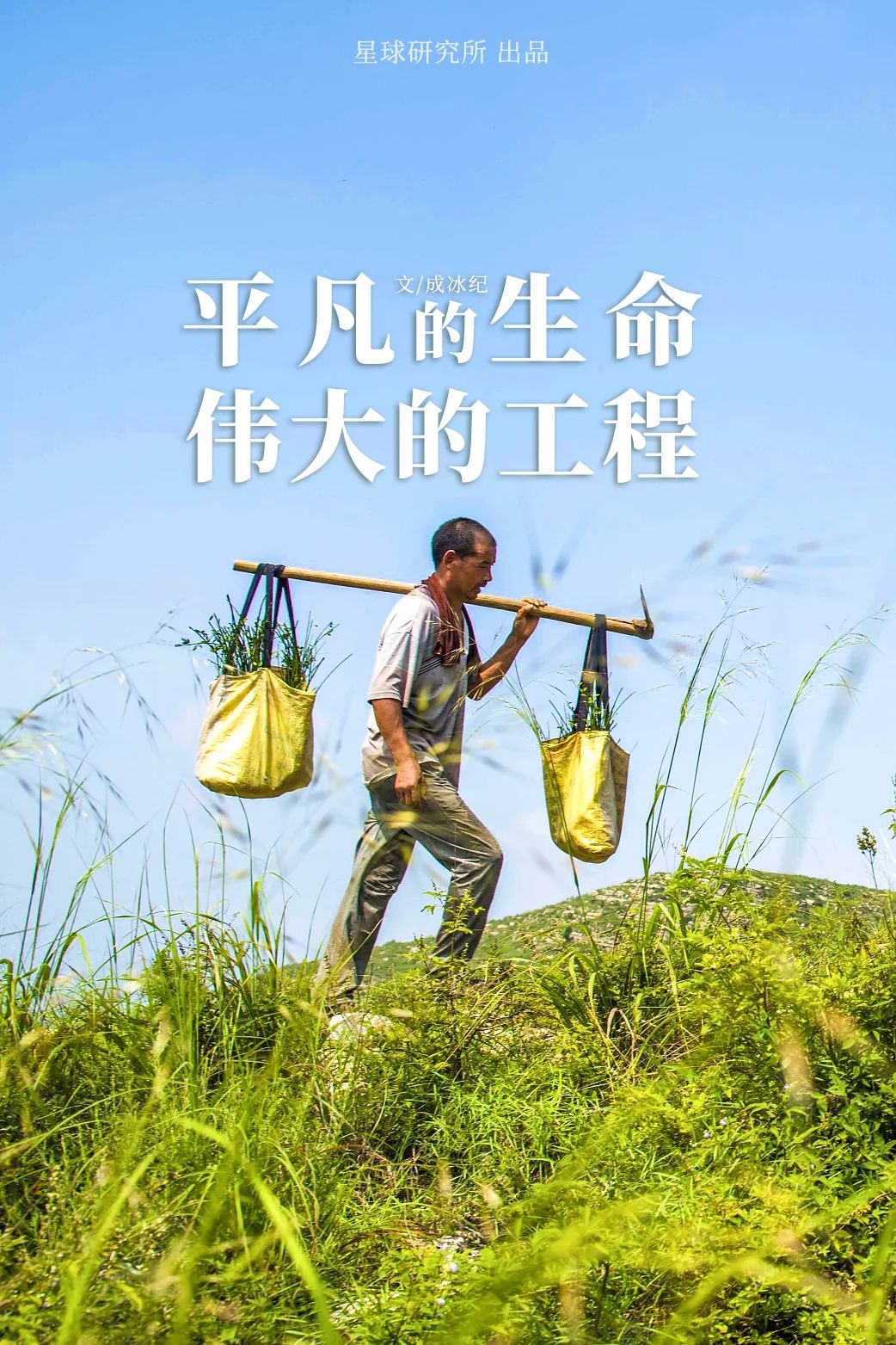 植树造林，如何改变中国？植树新浪财经新浪网 