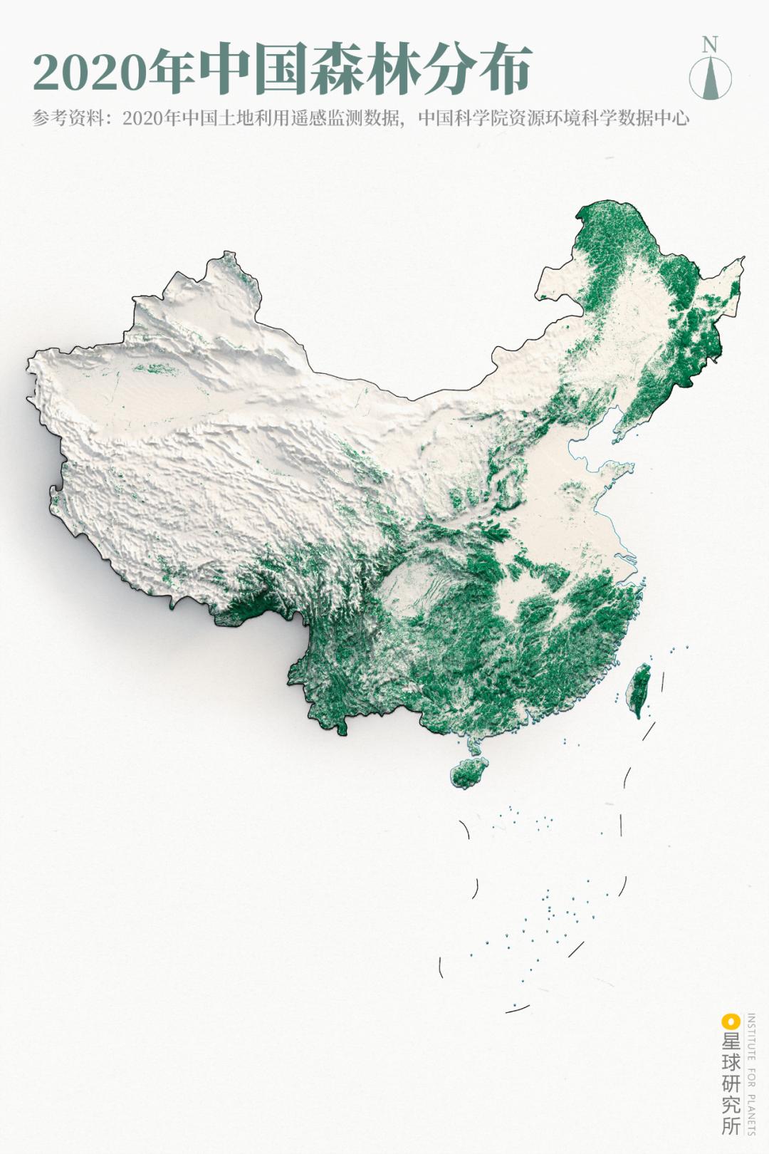 植树造林如何改变中国