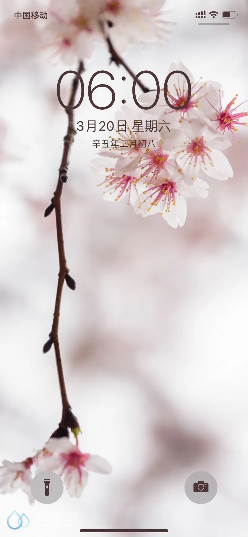 写真集来了 快来选出你心中的最美 花美南 手机新浪网
