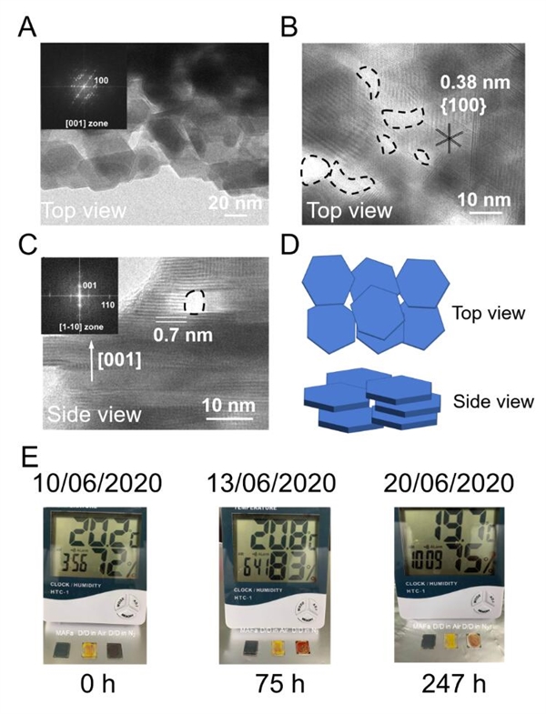 高湿度条件下制备的PbI2@MAFa薄膜内部的垂直离子通道以及晶体堆积方式示意图(A-D)以及FAPbI3薄膜在高湿度条件的变化对比(E)