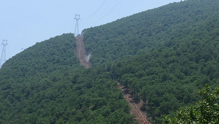 防火隔离带.图片来源:凉山州政府网站