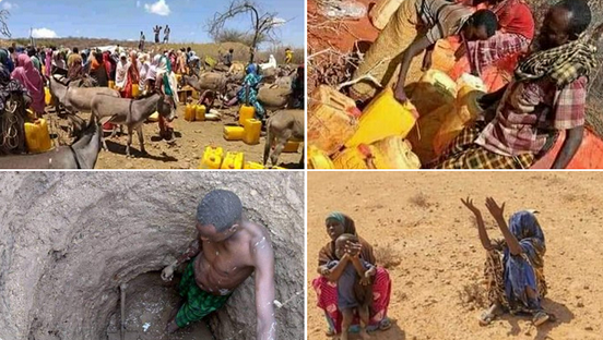 埃塞俄比亚索马里州旱情严峻 超200万人亟需援助