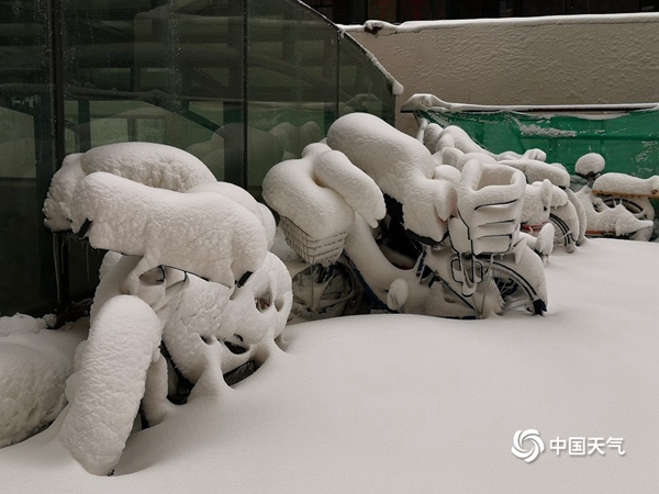 △4月15日至16日，内蒙古呼伦贝尔市遭遇强降雪。（图 徐玉强）