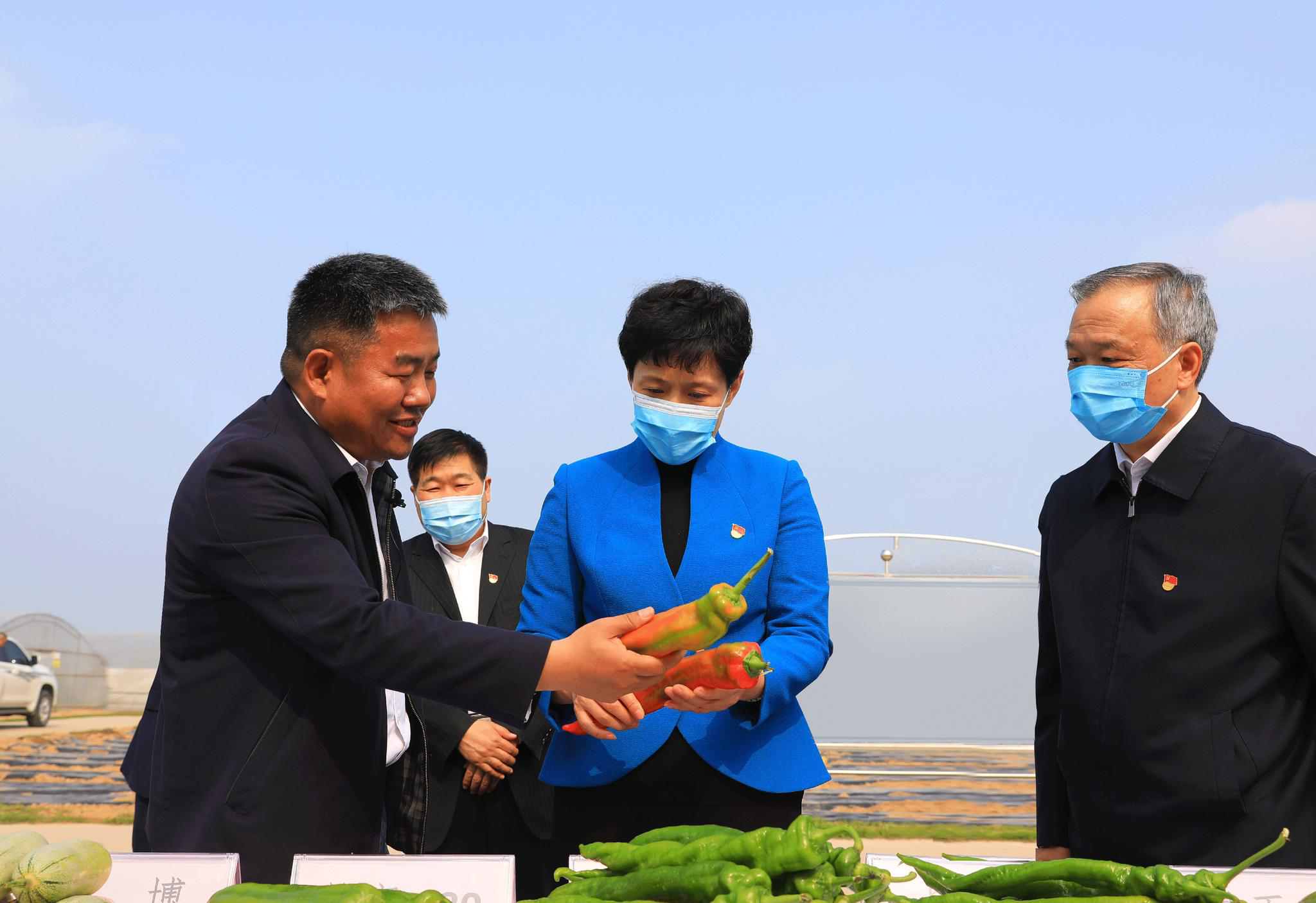 4月26日,省委常委,省纪委书记,省监委主任曲孝丽到乡村振兴和党史学习