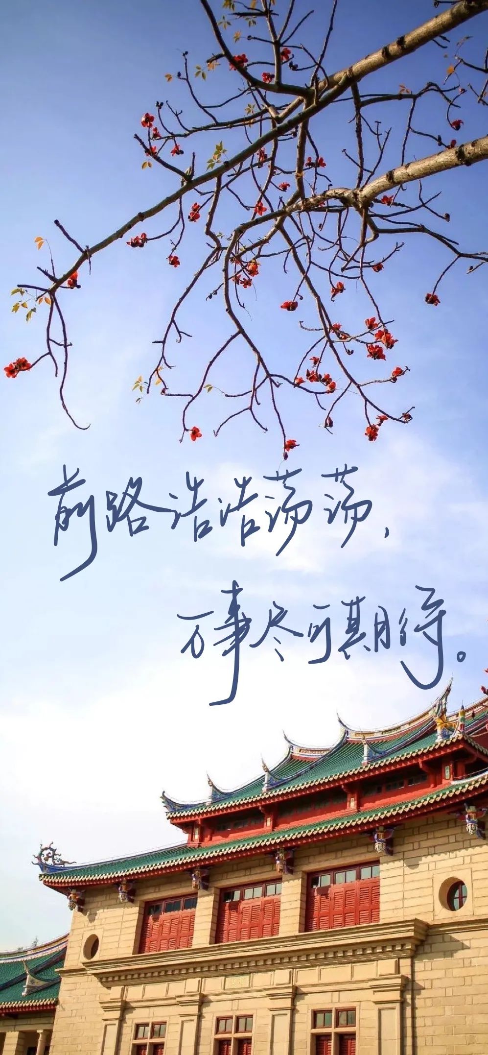 最后30天相约厦大见