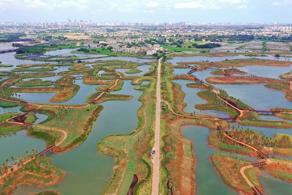 的海口城市"绿心"迈雅河区域"退渔还湿"生态修复工程也焕发出勃勃生机