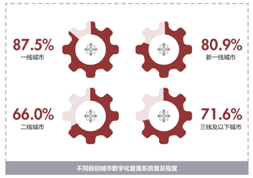 不同级别城市数字化管理系统普及程度