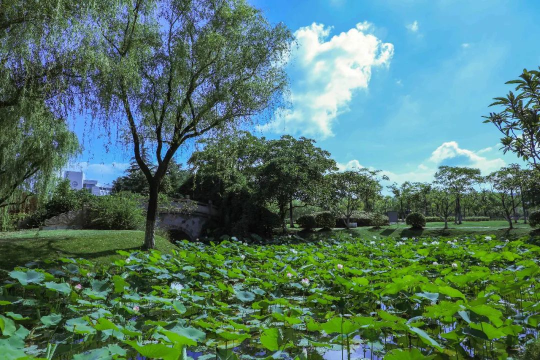 上海大学万千旖旎吾爱独钟意你一路相伴