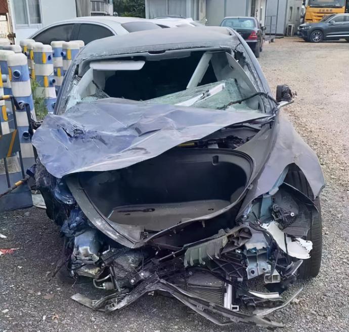 温州特斯拉事故最新调查 两方数据共同确认司机未曾踩过刹车