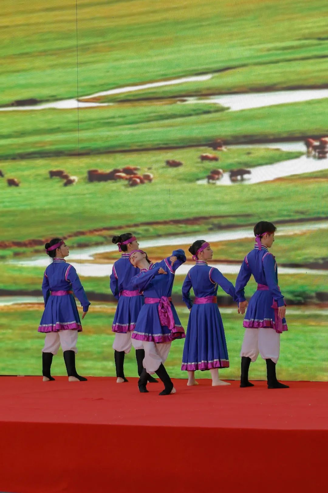 在哈工大室外看演出根本停不下来