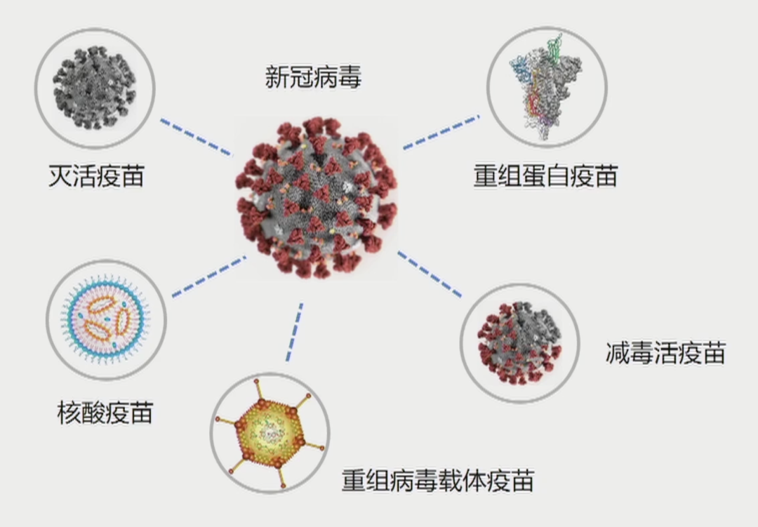 新冠疫苗股的估值游戏