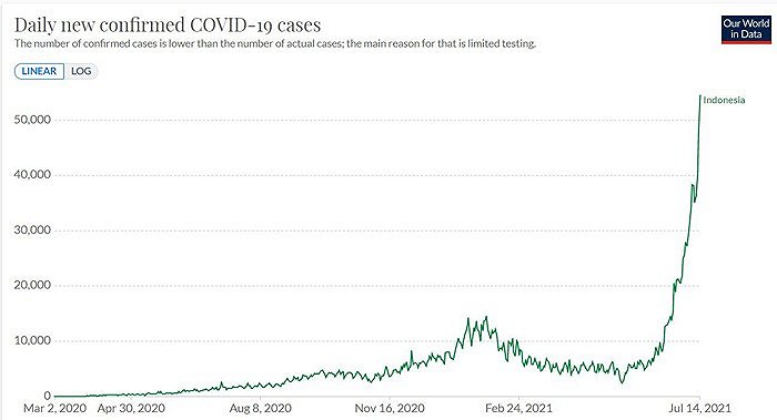 印尼单日新增。图片来源：牛津大学