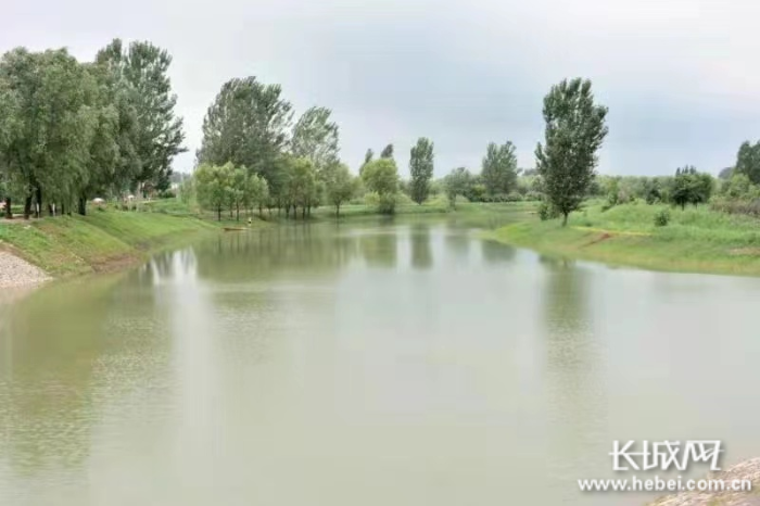 补水后的南运河河道。河北省水利厅 供图