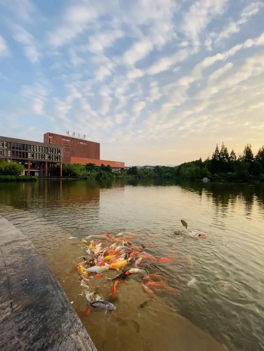 暑假来袭拿来吧虎溪壁纸