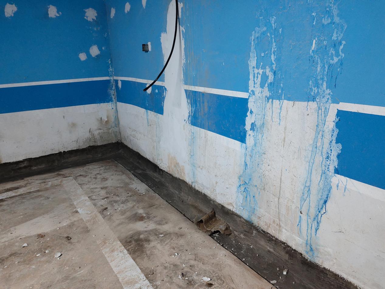 次日,她和老公到小区收房,开发商提供了"楼栋验收备案表",地下室等