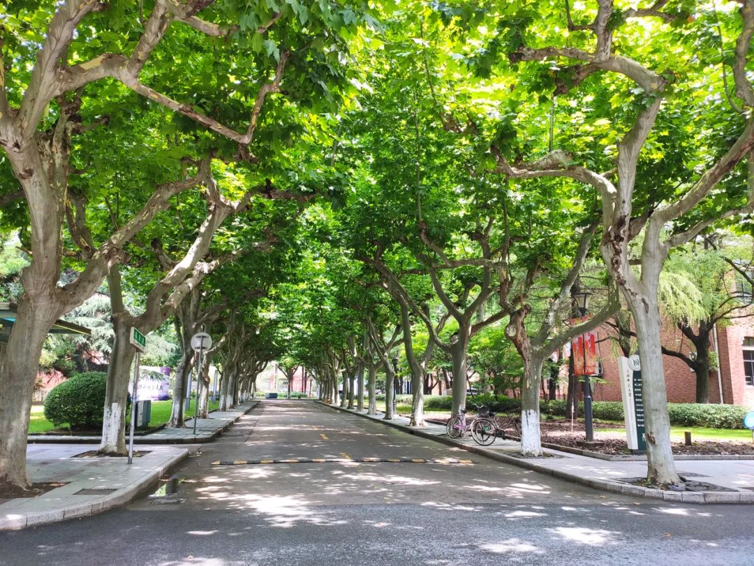 上海师大拍了拍你夏日校园美景奉上