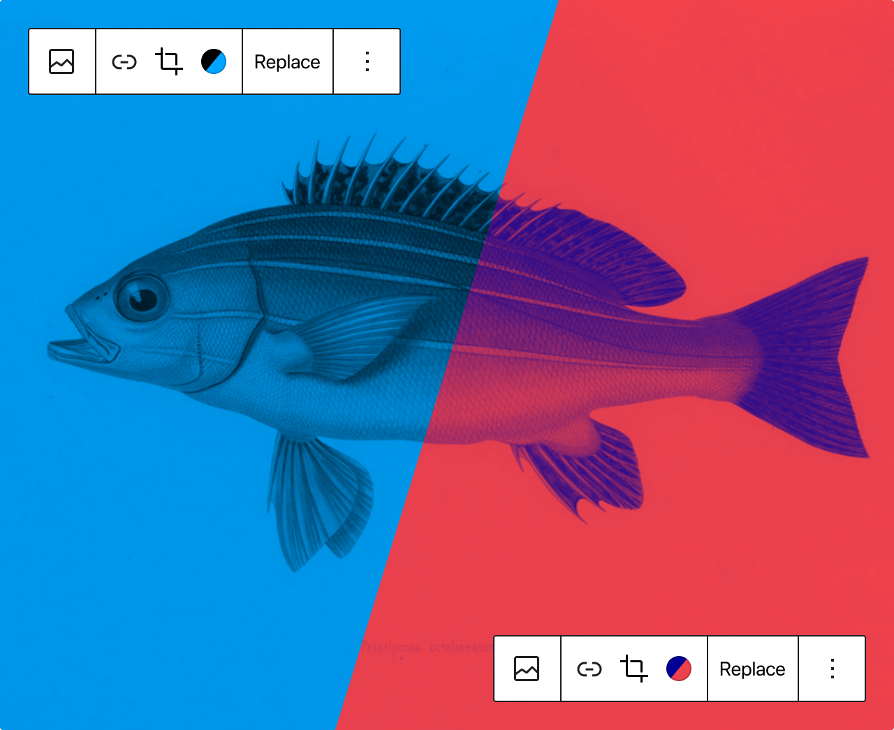 图片样式化和上色