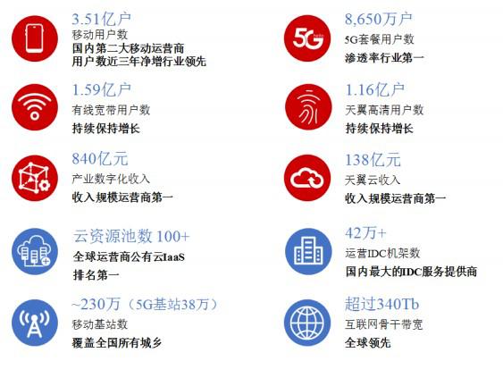 中国电信业务规模 图源：招股书