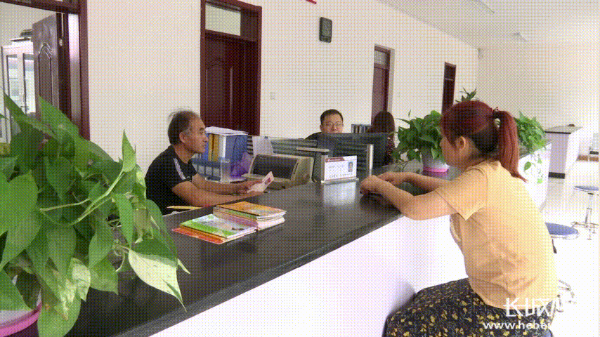枣强县公共服务中心服务窗口，积极开展预约、上门等个性化服务。长城网记者 常熠 制图