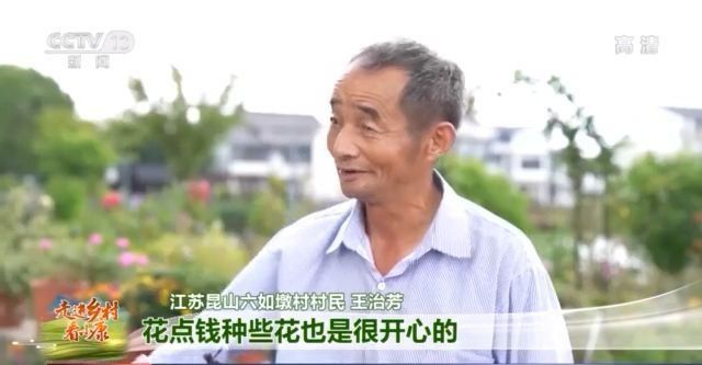 “缺个儿媳妇”！这个村小楼林立 村民却也有“烦心事”