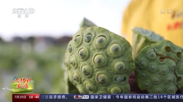 走进乡村看小康丨荷花做成的美食你吃过吗？记者带你体验安徽芜湖菡萏宴