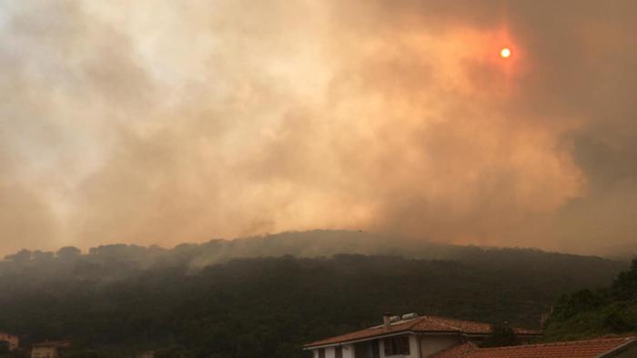 意大利撒丁岛山火蔓延 数百名居民被疏散