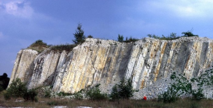 “金钉子”：德国萨尔茨吉特附近的采石场成为全球地质参考点