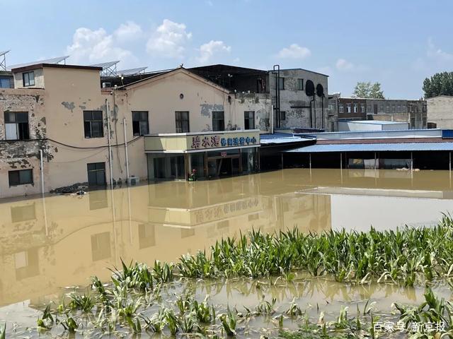 ▲7月24日，新京报记者在彭村看到，村民的楼房、农田被洪水淹没。新京报记者 王瑞文 摄