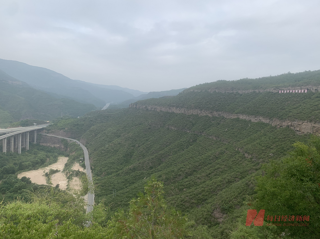 40度陡峭土石山区种出4米高树木 二十年植树造林150万亩 有了这些 一碗水半碗沙 的黄河变样了 宜川 新浪财经 新浪网 40度陡峭土石山区种出4米高树木 二十年植树造林150万亩 有了这些 一碗水半碗沙 的黄河变样了 宜川 新浪财经 新浪网