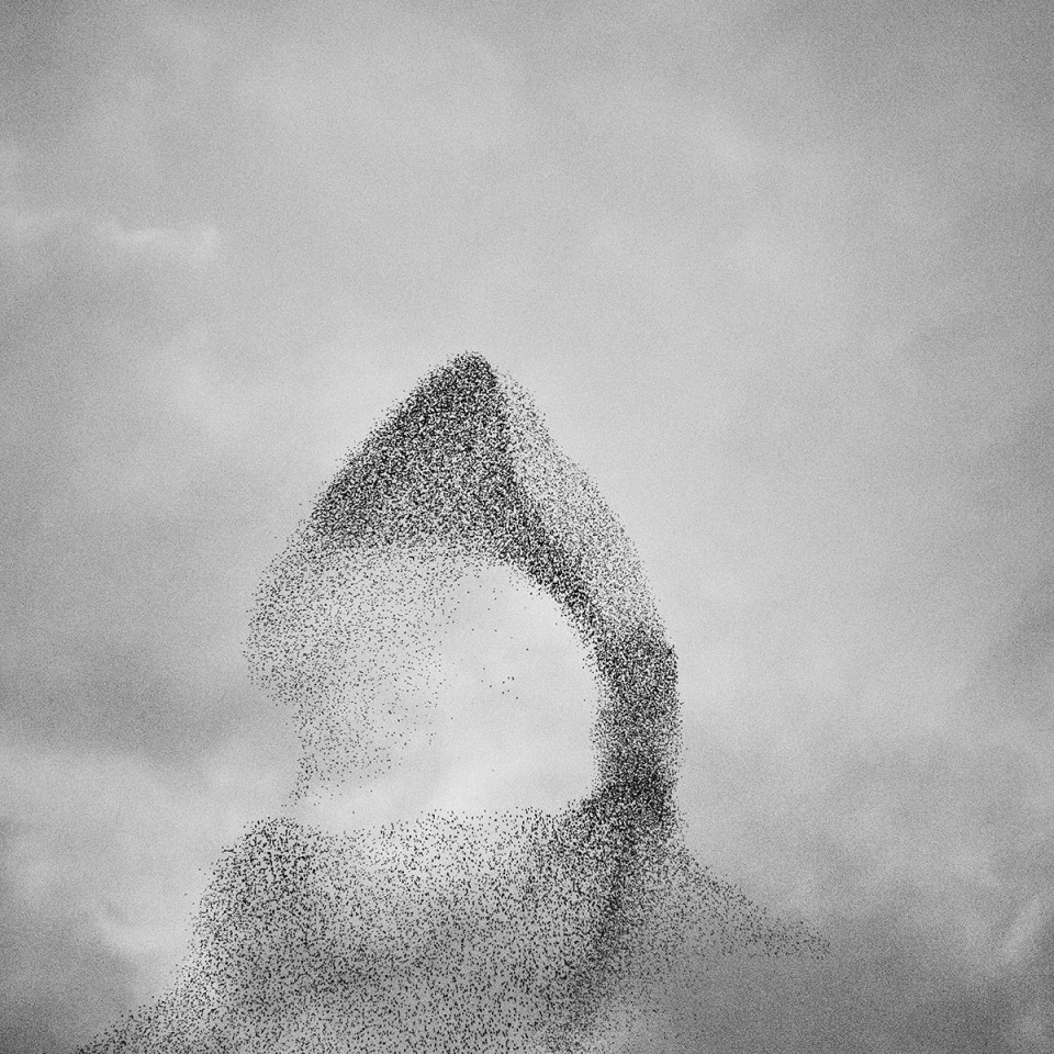 2021年极简主义摄影奖作品赏析