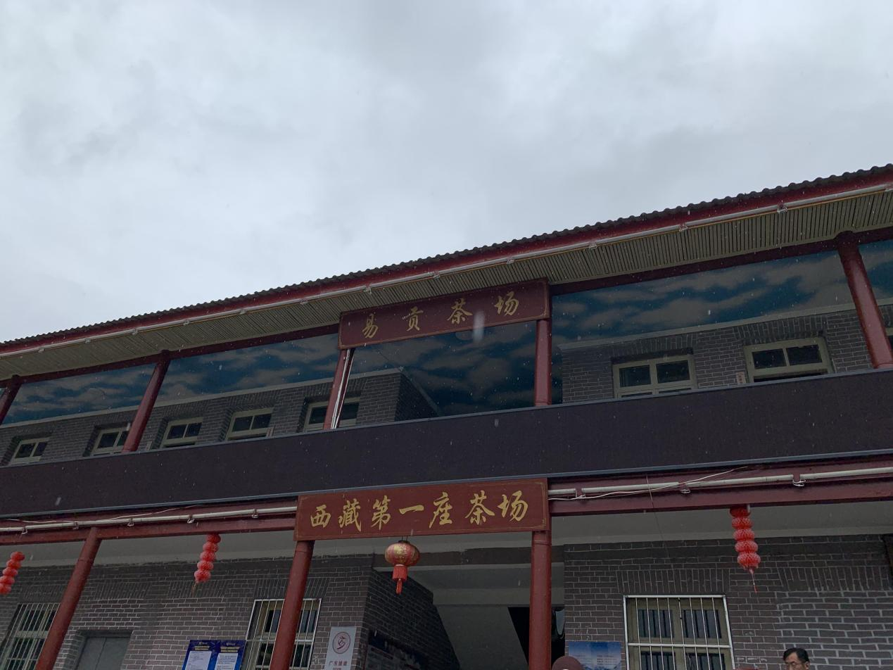 深山茶谷换新颜西藏波密易贡茶场的致富路