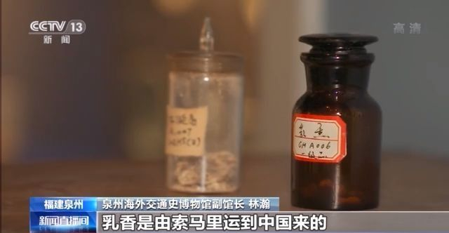 △泉州发现的南宋返港沉船上的两件一级文物——龙涎香跟乳香