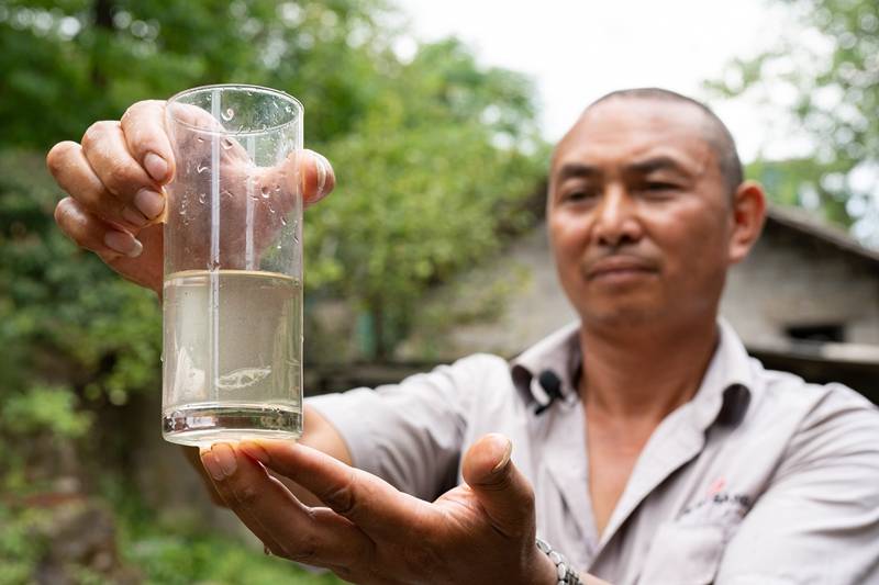 “水中大熊猫”桃花水母惊现铜仁 专家称其对生存环境要求极高